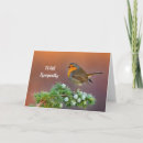 Buscar robin tarjetas Erithacus rubecula