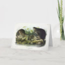 Buscar ratas tarjetas Ilustracion