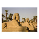 Buscar egipto fotografía Luxor