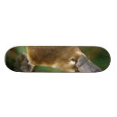 Buscar pato tablas de skate Animal