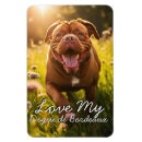 Buscar bordeaux imanes Perros