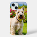 Buscar scottish iphone fundas Escocés
