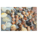 Buscar del caracol arte Para ellos