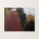 Buscar árboles puzzles General y unisex
