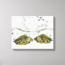 Buscar reptil lienzos Animales