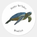 Buscar tortuga marina pegatinas Para niños