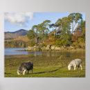 Buscar derwentwater Cumbria