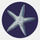 Buscar cáscara pegatinas Costero