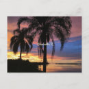 Buscar clearwater postales Tropical