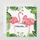 Buscar orlando tarjetas Palmeras