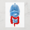 Buscar medicina interna postales Transparente