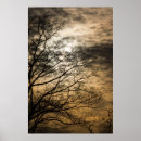 Buscar cielo nublado posters Naranja