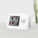 Buscar terrier de boston tarjetas General y unisex