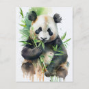Buscar panda blanco y negro postales Bambú