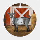 Buscar cabras adornos 1 º ganadería