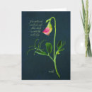 Buscar milagros tarjetas Espiritual