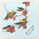 Buscar pájaros posavasos Parejas