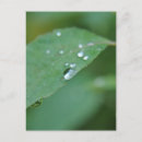 Buscar eco postales Verde