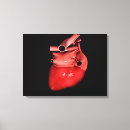 Buscar vasos sanguíneos lienzos Sanidad