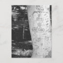 Buscar troncos de árbol postales Exterior