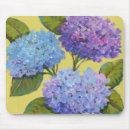 Buscar hydrangea electronica Hidrangeas