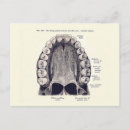 Buscar dentista postales dientes