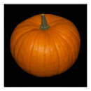 Buscar calabazas de halloween posters General y unisex