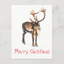 Buscar acuarela pintada a mano postales Para todos