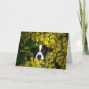 Buscar virus tarjetas Pandemia