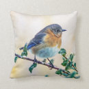 Buscar bluebird cojines Naturaleza