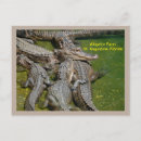 Buscar grupos postales General y unisex