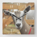 Buscar lechera relojes de pared Granja