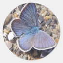 Buscar azul claro pegatinas Adorable