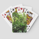 Buscar plantas barajas de cartas Selva tropical