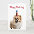 Buscar pomeranian tarjetas Animal