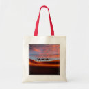 Buscar duna bolsos Desierto
