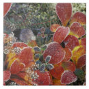 Buscar uva azulejos Hoja