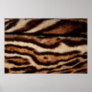 Buscar fondo del gato posters Animal