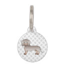 Buscar razas mascotas Dachshund