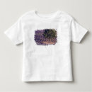 Buscar gavriel jecan camisetas Lavanda