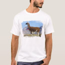 Buscar jutt camisetas Decorado