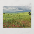 Buscar abundancia postales Paisaje