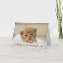 Buscar gato del tarjetas enhorabuena de bebe 9 º gata