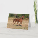 Buscar que fluye tarjetas Animal