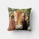 Buscar toros cojines Vaca