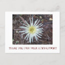 Buscar condolencias postales Flores