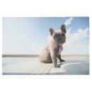 Buscar french bulldog arte Canine