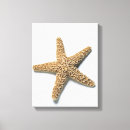 Buscar fondo blanco lienzos Naturaleza