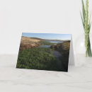 Buscar en pointe tarjetas General y unisex