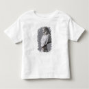 Buscar ropa bebe mayor niño Perfil